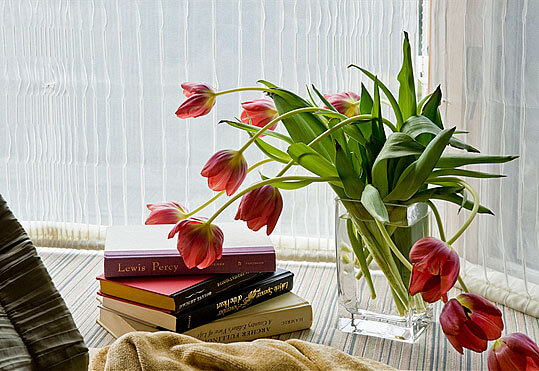 InterSpace Design - Close-up of Roman Shades in Bay Window of Los Altos Hills home